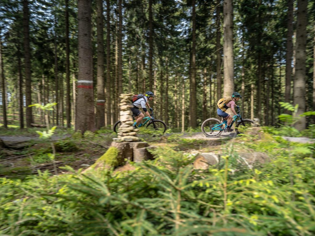 Tauche ein in den Dunkelwald auf dem Stoneman Miriquidi.